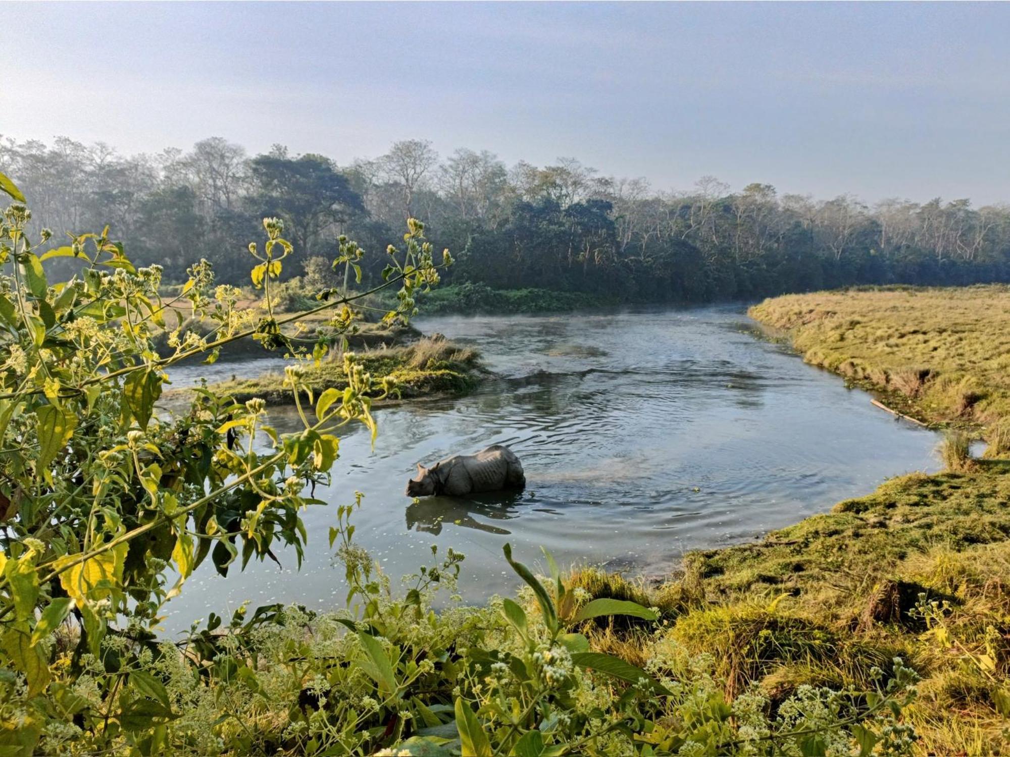 Hotel Tharu Garden And Beer Bar Чітаван Екстер'єр фото