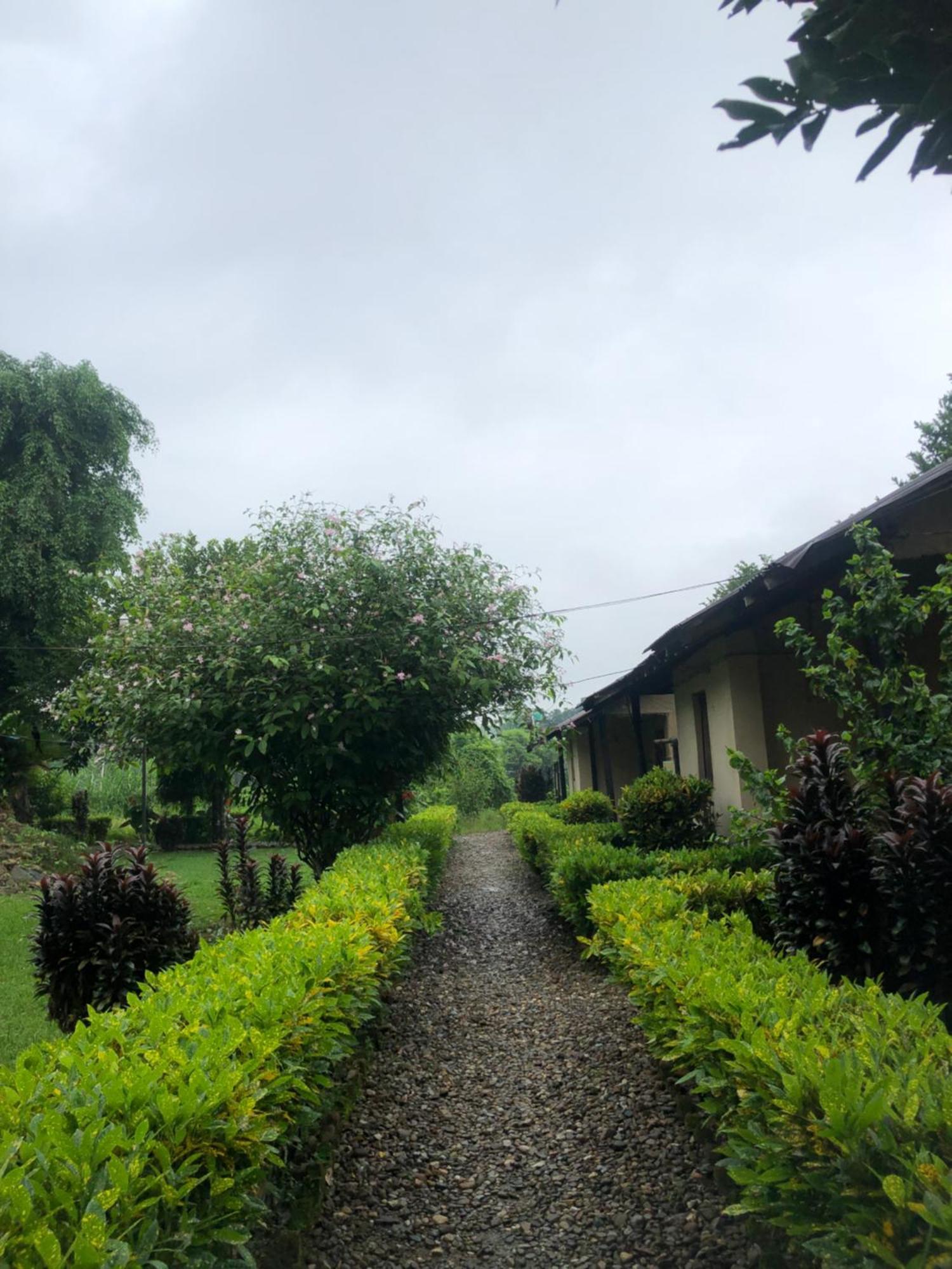 Hotel Tharu Garden And Beer Bar Чітаван Екстер'єр фото